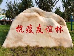 抗疫友誼林景觀石